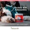 Herbsmith Pure Krill - Wild-Caught Antarctic Krill - Just 1