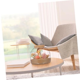 Toddmomy 1pc Glass Terrarium Jar with Wood Stopper Hydroponic Plants Container Terrarium Glass Containers