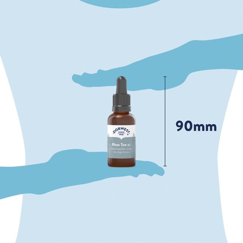 Dorwest Herbs Rhus Tox 6C Homoeopathic Liquid Remedy for Dogs