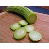 CEMEHA SEEDS - Cucumber Armenian Giant Open-Pollinated Pickling Non GMO