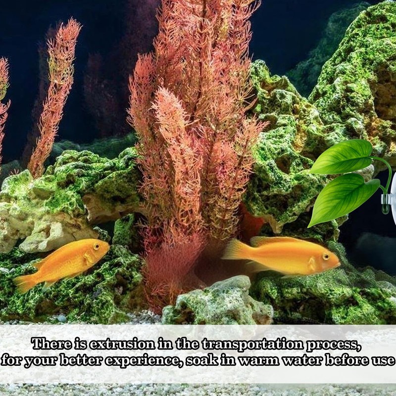 Exircy Betta Fish Toys 2 PCS Betta Fish Leaf Pad