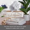 Elements Decorative White Resin Conch Shell Figurine on Stand, Modern