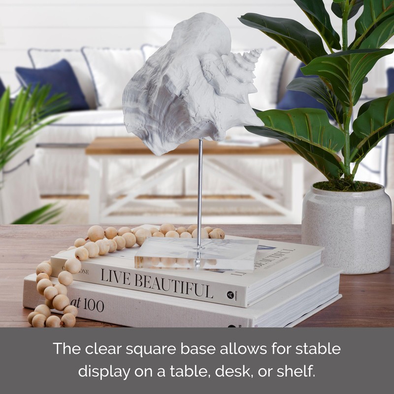 Elements Decorative White Resin Conch Shell Figurine on Stand, Modern