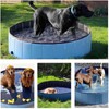 Dog Pool Foldable pet Pool Dog Swimming Pool pet Swimming