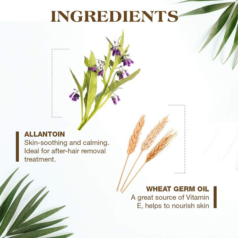 GiGi Hair Removal Wax Strips for Body - Pre-Waxed with