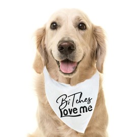 PUPTECK Pañuelo Triangular para Perro, Accesorio para Fotos para Perros pequeños, medianos y Grandes, Color Blanco