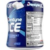 Dentyne Ice Peppermint Sugar Free Gum, 1 bottle (60 pieces)