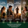 Rhodiola Rosea Organic Supplement—Adapted Herbal Formula Helps Relieve Stress, Improve