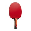 JOOLA Red Carbon X Table Tennis Bat - High-End Table