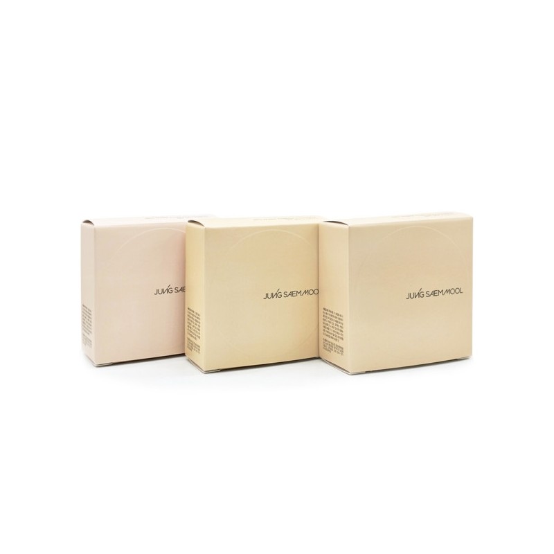 Jeong Saem Mool Skin Nude Cushion Concealer 10g / 정샘물