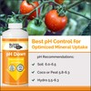 Bloom City Professional pH Down Liquid Fertilizer, Gallon (128 oz)