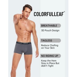 COLORFULLEAF Mens Underwear Soft Bamboo Rayon Trunks Comfortable Breathable Short Leg Boxer Briefs Underpants (2NGR,XL)