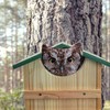 Prolee Screech Owl House Hand Made 14 x 10 Inch