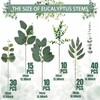 125 Pcs 6 Kinds Mixed Artificial Eucalyptus Stems