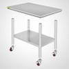 Mophorn Stainless Steel Work Table 36x24 Inch with 4 Wheels