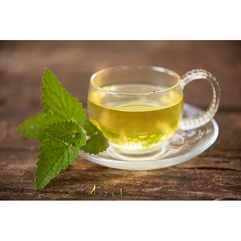 Health Embassy Catnip Herb Tea | Nepeta cataria L |