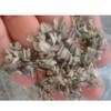 Menta Blanca Organica Salvia Deshidratada 250g