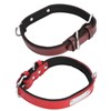 2pcs Pet Collar with Engraved Nameplate ID Tag Cowhide Padded