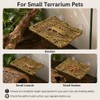 MHLLGN Reptile Hammock with 2 Suction Cups, Handwoven Natural Grass