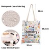 FEELMEM Astronomy Chemist Gift Chemistry Diva Tote Bag Chemistry Science