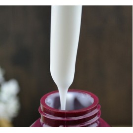 PPC Honey Repair Therapy Shampoo for damaged hair after perm & dye - 25.4oz