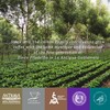 R. Dalton Coffee Supremo Estate Blend Whole Bean Coffee -