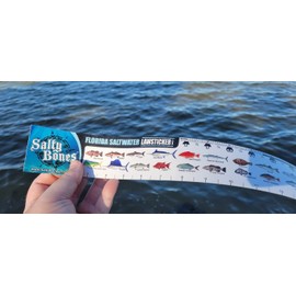 Salty Bones Florida Saltwater Lawsticker - 36" Sticker Ruler - Made in The USA - Latest Version
