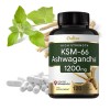 Daitea KSM-66 Ashwagandha 1200MG Maximum Strength 120 Capsules-- Omnipotent Nutrition