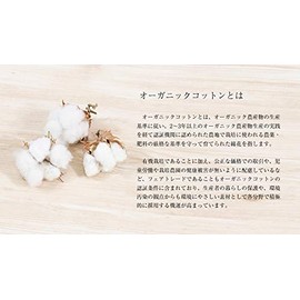 Kimonoya Sarasa Musumi Furoshiki 3 Width Approx. 39.4 inches (100 cm), Himemusubi, Adeline Klam, Chrysanthemum, Red (20553-303), Organic Cotton, Large Size, red