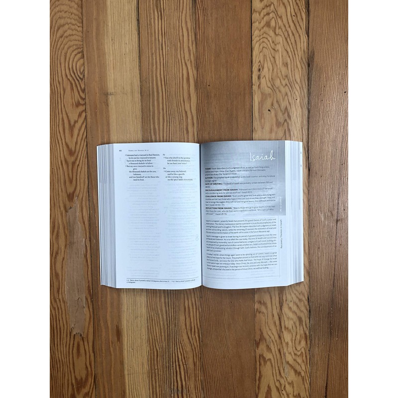 NIV, Celebrate Recovery Study Bible