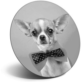 Destination Vinyl ltd Magnet for Refrigerator, Fridge BW - Funny Cute Chihuahua Dogs for Office, Cabinet and Whiteboard, Magnetic Stickers, 39516