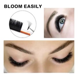 Blister Masskacu Easy Fan - Volumen - Autofloracion                                                                                                   
