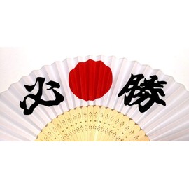 Aoto Toudo: HISHO-801 Hinomaru Financial Fan for Japanese Support and Exams