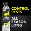 Raid Wasp & Hornet Killer Spray (14 Ounce (Pack of