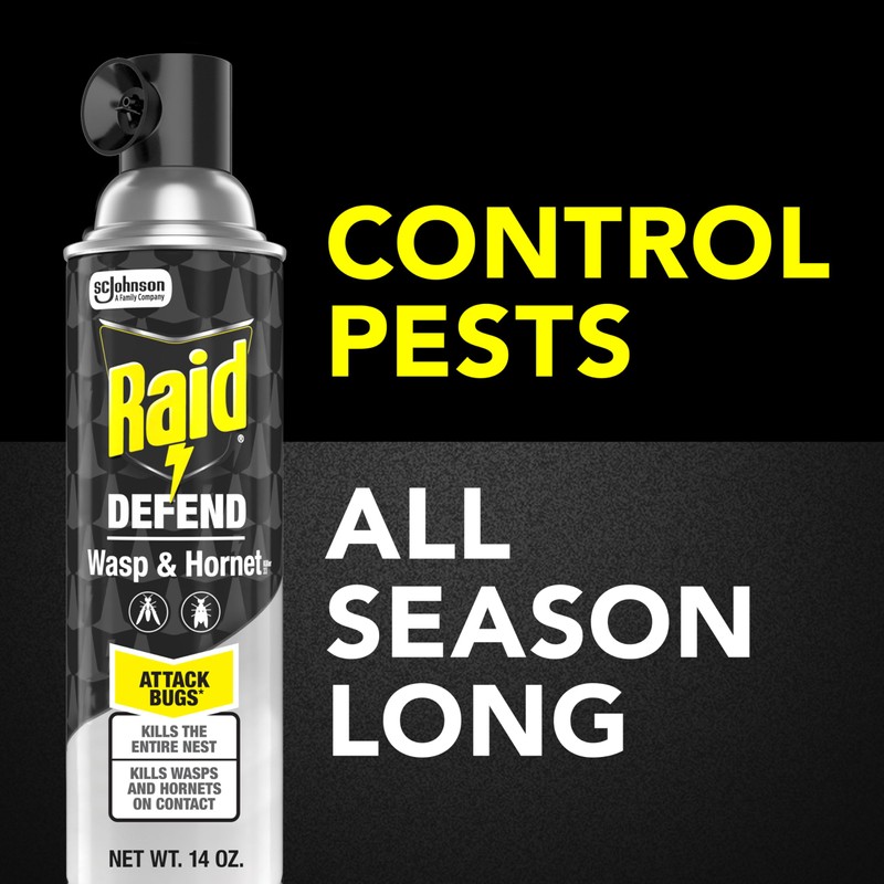 Raid Wasp & Hornet Killer Spray (14 Ounce (Pack of