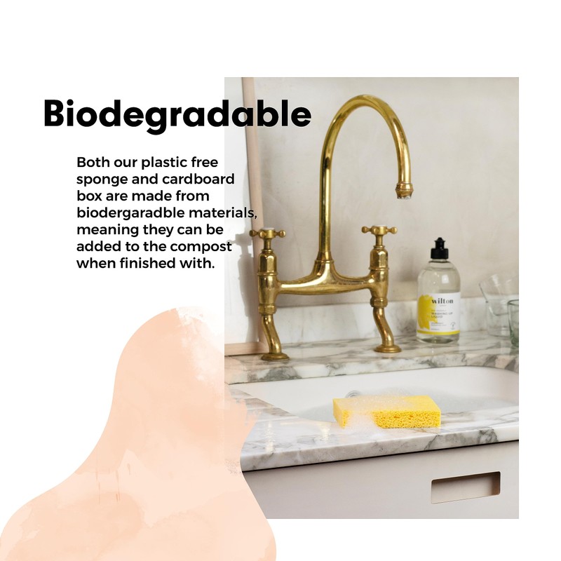 Wilton London Eco-Friendly Sponge - Plastic Free and Biodegradable -