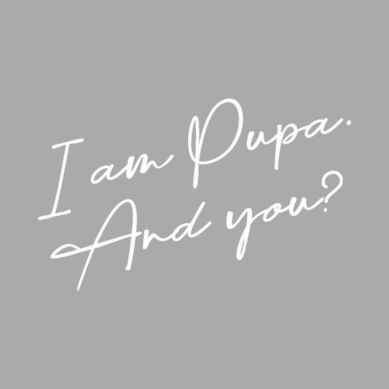 Pupa BB Cream Anti-Ageing N°1 Nude 30 SPF 50 ml