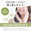 KISO Toothpaste Gel (Value)