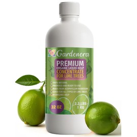 GARDENERA Premium Organic Seaweed & Kelp Superfood for Lime Plants - 32 oz - Liquid Kelp Fertilizer Concentrate (Makes 180 Gallons)