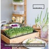 HAMAMA Microgreens Growing Kit Replacements - Broccoli Indoor Sprouts Mat