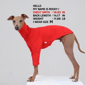 D Doggy Star Italian Greyhound Clothes Flexible T Shirts Whippet for Dogs (M,Solid Red)