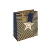 Eurowrap Brown Kraft Blue Stars Medium Gift Bag – Recyclable