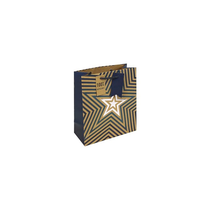 Eurowrap Brown Kraft Blue Stars Medium Gift Bag – Recyclable