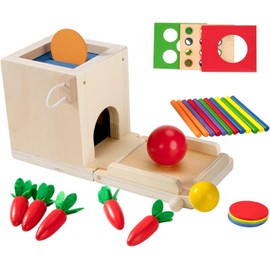 Montessori Motor Skills Toy Wooden Toy for Toddlers from 1 2 3 Years, Sorting and Stacking Toy 4 in 1 Sorting Game Sensory Learning Toy Gift