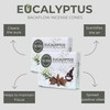 TRUMIRI Eucalyptus Backflow Incense Cones - Total 20 Incense Cones