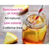 Peach Apricot - Loose Leaf Honeybush Herbal Tea - Fusion