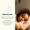 Plant Therapy Essential Oil Roll-On Blend - Nighty Night, 10ml