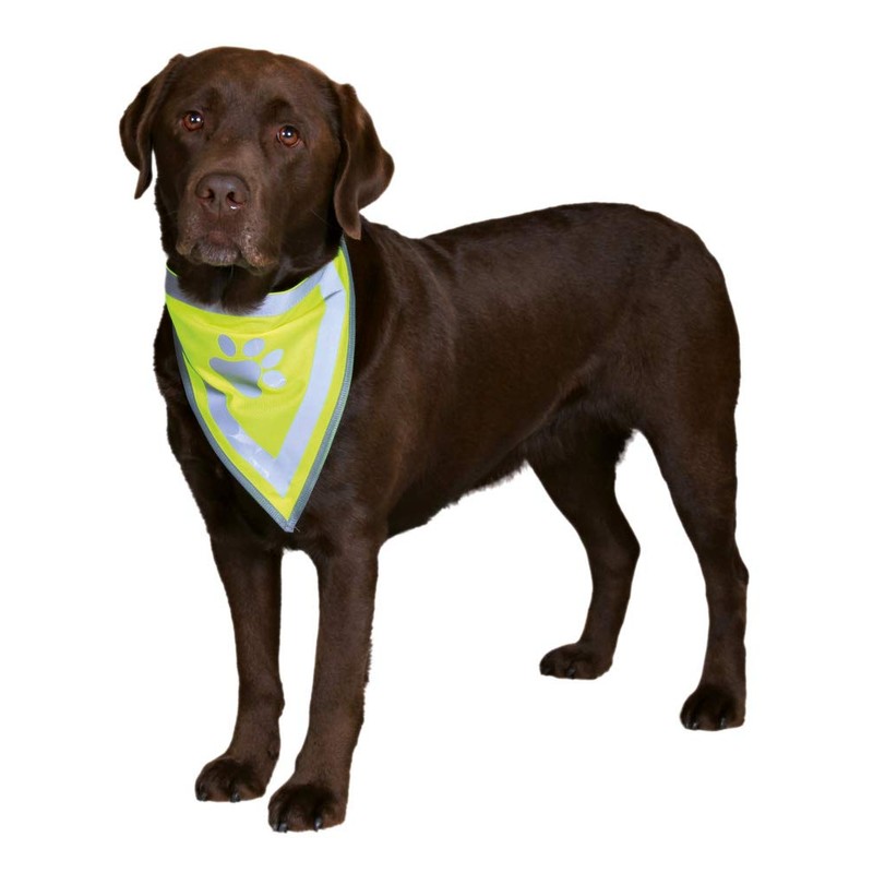 Trixie Safer Life Neckerchief for Dog, 42 cm