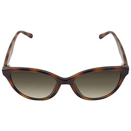 Ferragamo Women's 1073S 54Mm Sunglasses, Brown