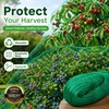 Garden Bird Netting for Plant Protection – Cut-to-Fit PE Mesh